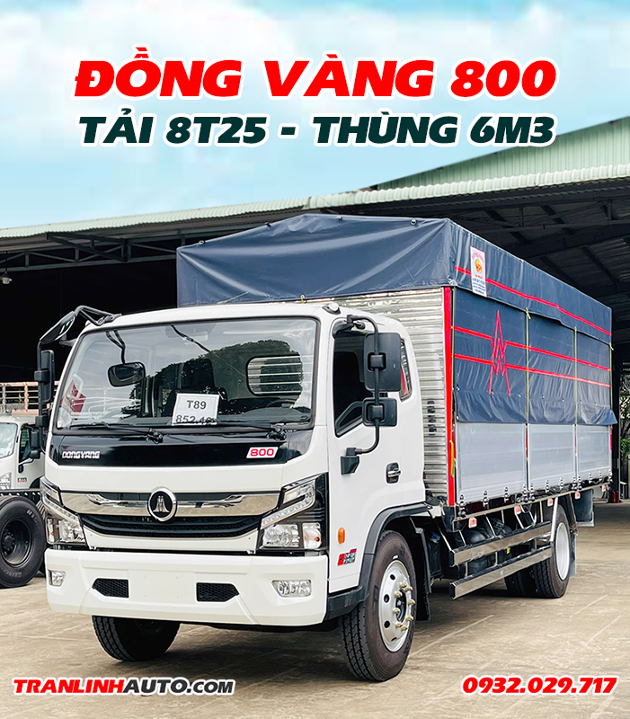 Dong-Vang-800