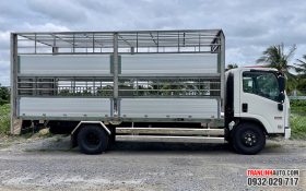 XE TẢI ISUZU NQR550 E5 CHỞ GIA SÚC