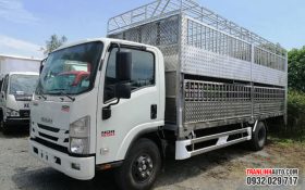 XE TẢI ISUZU NQR550 E5 CHỞ GIA SÚC
