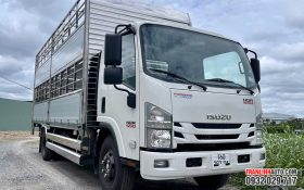 XE TẢI ISUZU NQR550 E5 CHỞ GIA SÚC
