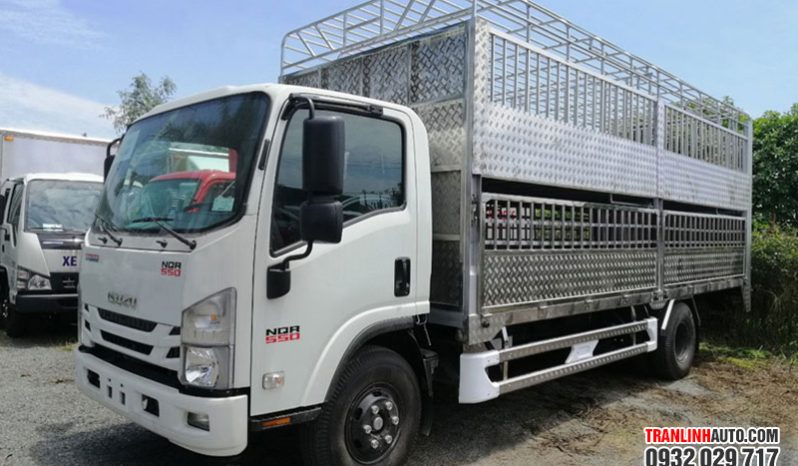 XE TẢI ISUZU NQR550 E5 CHỞ GIA SÚC